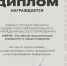 2024/2025 учебный год: диплом за 1 место Кибердружина - Филиал РТУ МИРЭА в г. Ставрополе