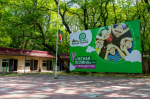 В лагере «Лесная поляна» Ставрополя лето проведут 450 детей