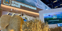 Губернатор Ставрополья: КИФ-2025 позволит краю привлечь новых инвесторов - Телеканал СвоёТВ