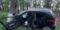 Два пассажира погибли после ДТП с деревом на Ставрополье - ATVmedia.Ru