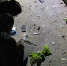 Взрыв гранаты в Ставрополе - StavropolNews.Ru