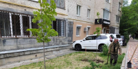 Весенние высадки закончились в Ставрополе - Вечерний Ставрополь