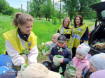 От желудя к дубку и дубу – с нотариусами Ставрополья