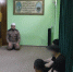 На Ставрополье осужденные, исповедующие ислам, отметили праздник Курбан-байрам - Вечерний Ставрополь