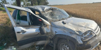 Ребёнок и 2 женщины пострадали при съезде с дороги авто в Будённовском округе - Телеканал СвоёТВ