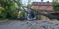Дерево упало на автобус в Минераловодском округе - ИА Победа 26