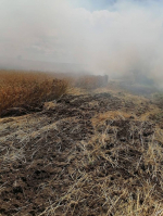 Пожарные потушили огонь на пшеничном поле в Красногвардейском округе