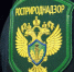 Прием граждан в приемной Президента Российской Федерации в Северо-Кавказском федеральном округе - Росприроднадзор