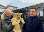 Михаил Несветайло и Владимир Зотов, фото: социальные сети, фон: Яндекс.Карты