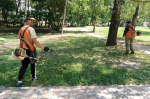 В Ставрополе скосили два млн квадратных метров буйной растительности
