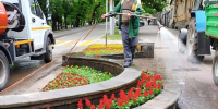 В Ставрополе из-за жары стали чаще поливать городские цветники - Вечерний Ставрополь