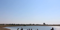 На Ставрополье в самом разгаре акция «Вода России» - Министерство природных ресурсов и охраны окружающей среды