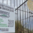 Второй с мире счётчик восхождений установят на ставропольской горе Бештау - Комсомольская Правда