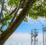 Новый частный сектор в посёлке Железноводском обеспечат электроснабжением - ИА Победа 26