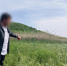 В Минеральных Водах мужчина признан виновным в убийстве, совершенном более 26 лет назад - СУ СК РФ
