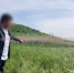 В Минводах 60-летнего рецидивиста осудили за убийство, совершенное 26 лет назад - Вечерний Ставрополь