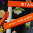 Отряд «ЛизаАлерт» ищет добровольцев в Ставропольском крае - ATVmedia.Ru