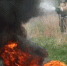 Пожар в лесу Курского округа охватил 17 га - ИА Победа 26