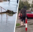 Рынок в воде, а люди без обуви: видео с затопленных улиц Ставрополя показали очевидцы - Bloknot-Stavropol.Ru
