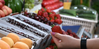 В Ставрополе перед Днем города пройдет праздничная продуктовая ярмарка - Комсомольская Правда