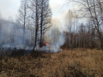 За сутки на Ставрополье потушили 23 ландшафтных пожара