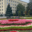 Ко Дню города Ставрополь украсили более 10 тыс. цветов - ATVmedia.Ru