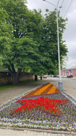 Ко Дню города Ставрополь преобразили более 10 тысяч осенних цветов.