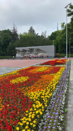 Ко Дню города Ставрополь преобразили более 10 тысяч осенних цветов.