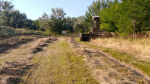 Более 50 тонн сена заготовят для диких животных на Ставрополье на зиму