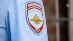 Полицейские уничтожили более 50 очагов наркосодержащих растений на Ставрополье