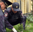 В субботнике «Зелёная Россия» приняли участие полицейские Ессентуков - ИА Победа 26