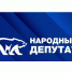 Голосование за лучшие практики работы с избирателями в рамках конкурса «Народный депутат» близится к завершению - Единая Россия