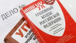 Глава СКР поручил возбудить дело из-за бродячих собак в КЧР