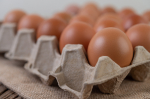 Как изменились цены на продукты в Ставрополе в октябре 2025 года?