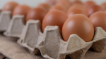 Как изменились цены на продукты в Ставрополе в октябре 2025 года?