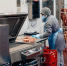 Главным импортёром продукции АПК Ставрополья стала Саудовская Аравия - Комсомольская Правда