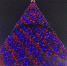 Кисловодск вошёл в топ-10 самых популярных ранних бронирований на Новый год - Телеканал СвоёТВ