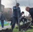 В Ставрополе продолжаются осенние высадки молодых деревьев - Вечерний Ставрополь