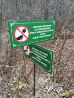 В «Долине нарзанов»