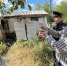 Житель Ставрополя ответит в суде за расправу над пенсионером - Комсомольская Правда