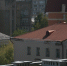Ущерб от капремонта МКД на Ставрополье компенсирует подрядчик - ИА Победа 26