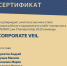 Студенты филиала приняли участите в финале VI Всероссийского юридического кейс-чемпионата MGIMO Law Championship 2025 - Филиал РТУ МИРЭА в г. Ставрополе