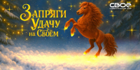 «СвоёТВ» дарит подарки в новогодней викторине на Ставрополье - Телеканал СвоёТВ
