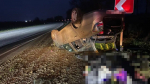 Двое жителей Краснодарского края пострадали в аварии на Ставрополье