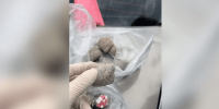 В Пятигорске у мужчины изъяли более 6 килограмм сильнодействующих веществ - Вечерний Ставрополь
