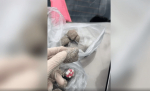 В Пятигорске у мужчины изъяли более 6 килограмм сильнодействующих веществ