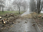 В Ставрополе зафиксировали 31 происшествие, связанное с сильным ветром