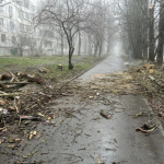 В Ставрополе зафиксировали 31 происшествие, связанное с сильным ветром