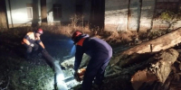 В Ставрополе оперативно восстановили электроснабжение для 1,2 тысячи абонентов - Вечерний Ставрополь