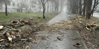 В Ставрополе штормовой ветер оставил без электричества более 1,2 тысячи человек - Комсомольская Правда